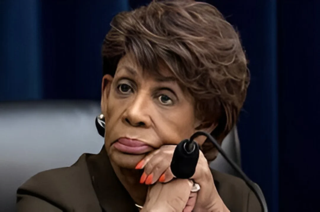 maxine waters net worth